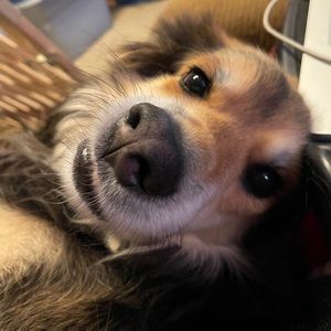 Meet your Posher, Rickelle